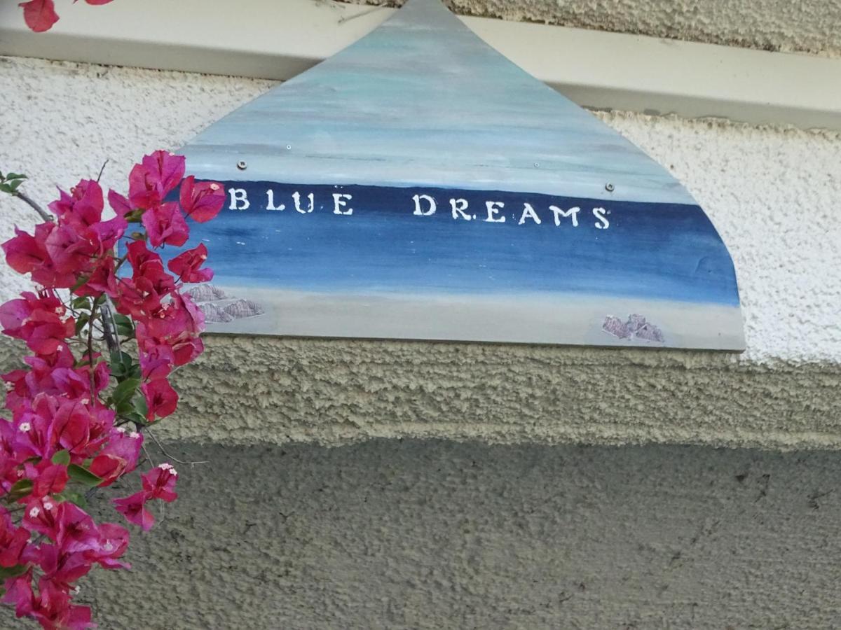 Гостьовий будинок Blue Dreams Алміропотамос Екстер'єр фото